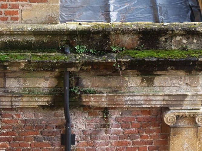Damp Survey