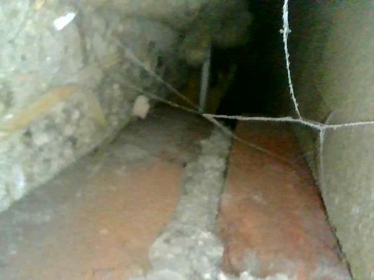 cavity survey
